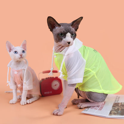 Summer Devon Rex Cat Light