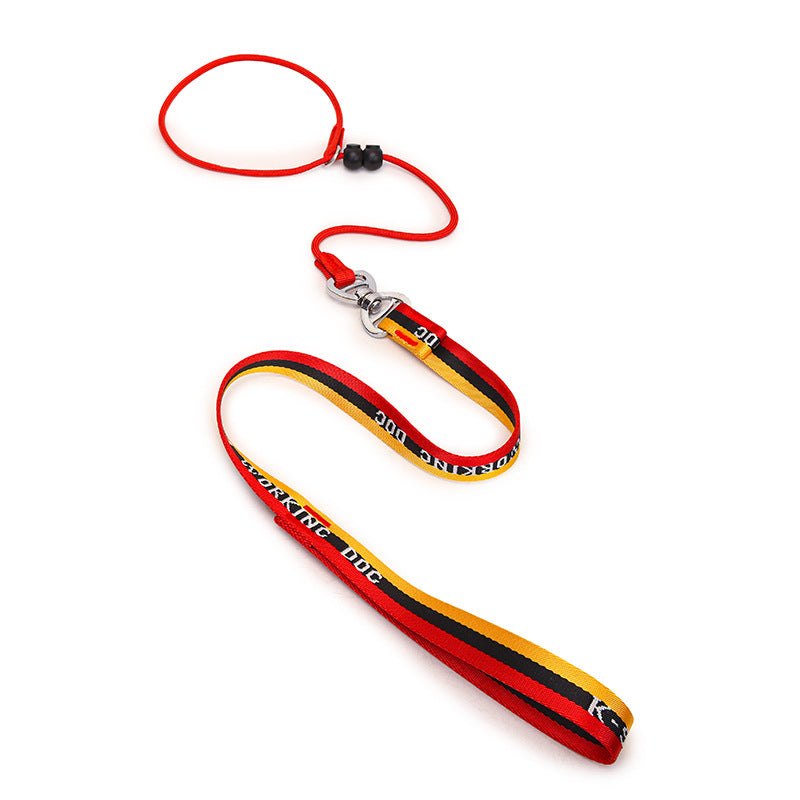 Minimalist Pet Leash Easy