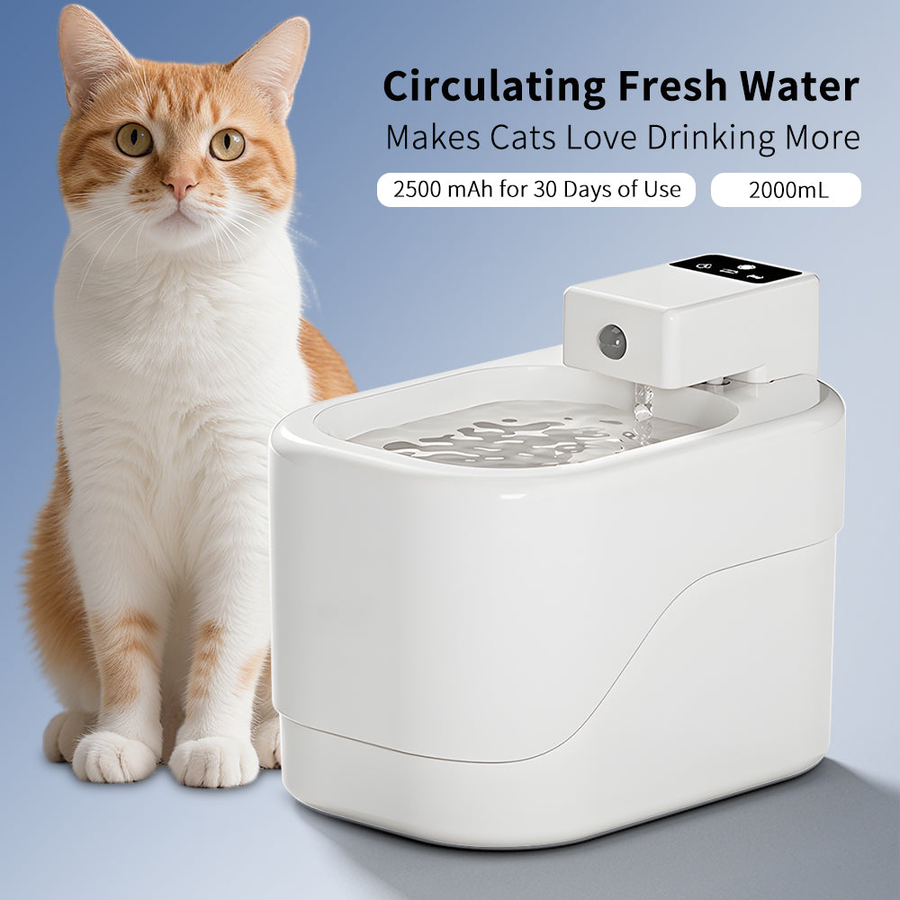 Intelligent Sensor Pet Drinking Fountain Large Capacity