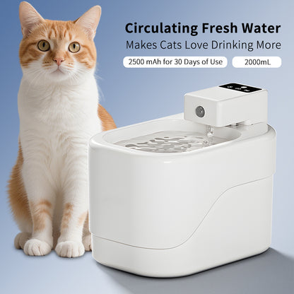 Intelligent Sensor Pet Drinking Fountain Large Capacity
