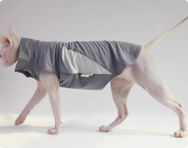 Hairless Cat Sun Protection Clothing