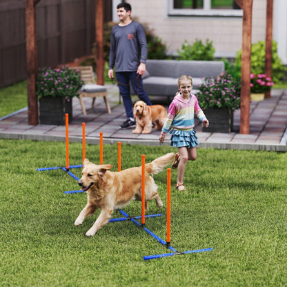 Dog Agility Training Equipment Adjustable Poles for Dog