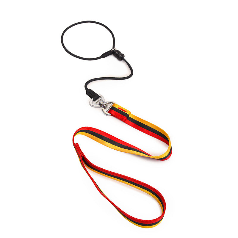 Minimalist Pet Leash Easy