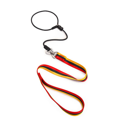 Minimalist Pet Leash Easy